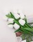 20PCS Tulips Artificial Flowers Faux Silk Tulip Stems Fake Flowers Bouquets for Vase Wedding Home Decoration White